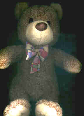 Travelin' Teddy being scanned!